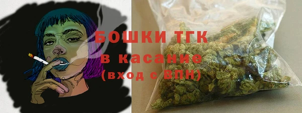 дмт Дмитровск