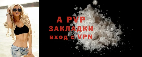 дмт Дмитровск