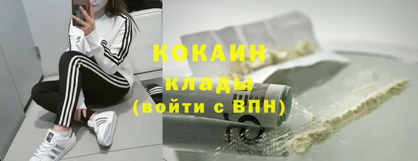 дживик Дмитров