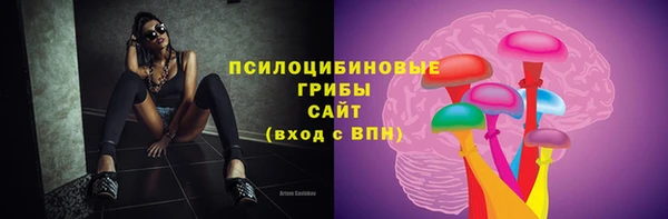 экстази Дмитриев