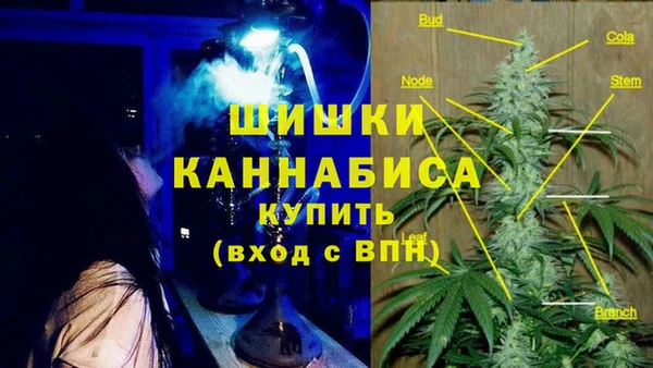дживик Дмитров