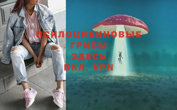 дживик Дмитров