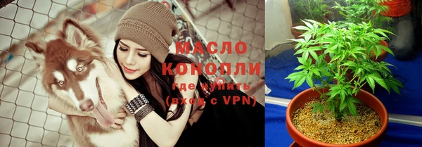 дживик Дмитров
