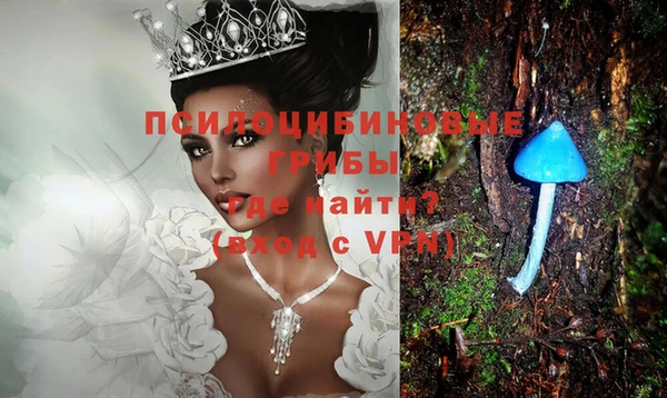 экстази Дмитриев