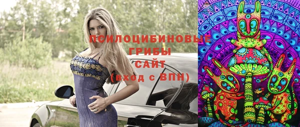 дживик Дмитров