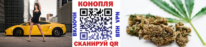 МЕГА ссылки  Венёв  Конопля гибрид  сколько стоит 
